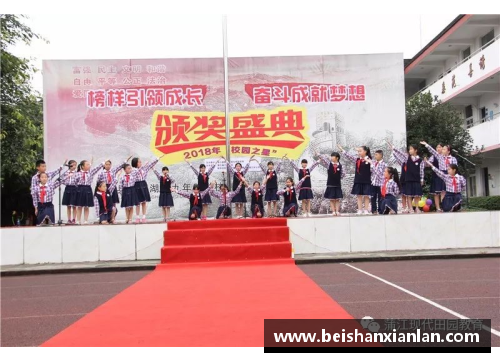 体育明星榜样：成就梦想的力量与拼搏精神