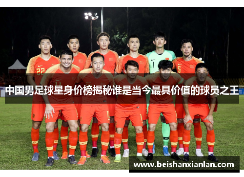 中国男足球星身价榜揭秘谁是当今最具价值的球员之王