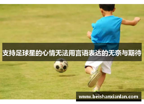 支持足球星的心情无法用言语表达的无奈与期待