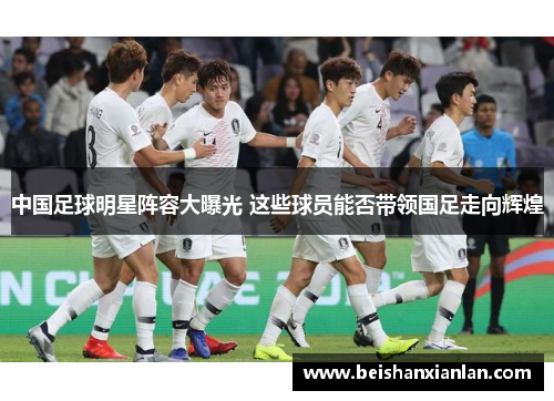 中国足球明星阵容大曝光 这些球员能否带领国足走向辉煌