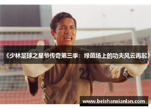 《少林足球之星爷传奇第三季：绿茵场上的功夫风云再起》